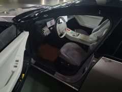 Xpeng P7 Long Range Max - ფოტო 13