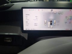 Xpeng P7 Long Range Max - ფოტო 4