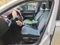 Volkswagen Lavida 1.5L Automatic Starry Sky Five Million Edition - ფოტო 11