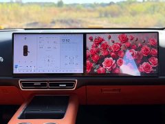 Li Auto L6 Pro - ფოტო 19