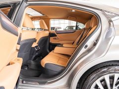 Lexus ES 300h Executive Edition - ფოტო 10