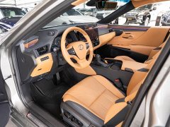 Lexus ES 300h Executive Edition - ფოტო 9