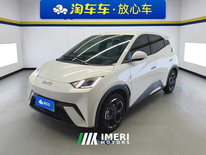 BYD Seagull 305km Freedom Edition - ავტომობილი ჩინეთიდან