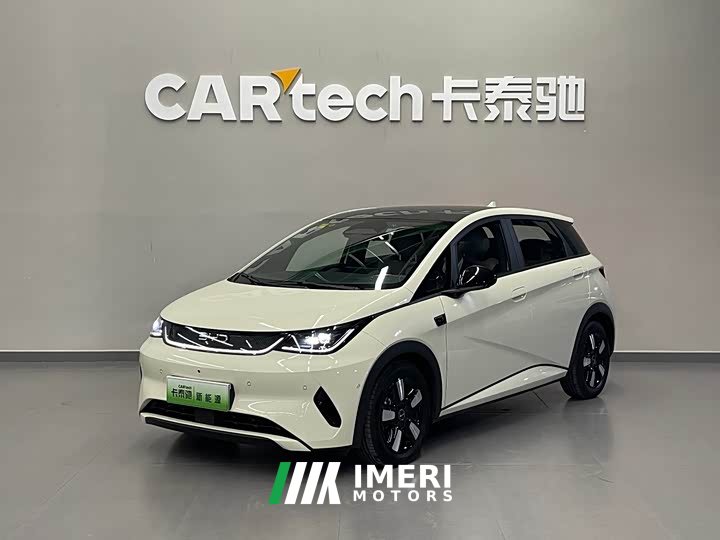 BYD Dolphin Smart Drive 410km Fashion Edition - автомобиль из Китая