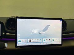 BYD Dolphin Smart Drive 410km Fashion Edition - фото 12