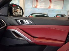 BMW X6 xDrive40i M Sport Premium Package - фото 16