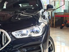 BMW X6 xDrive40i M Sport Premium Package - фото 8