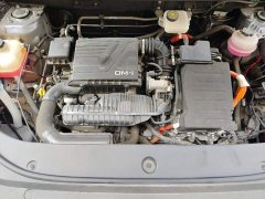 BYD Song Pro New Energy Champion Edition DM-i 110KM Excellence - photo 16