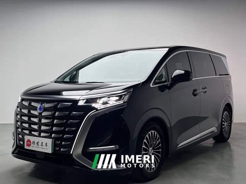 2024 Denza D9 DM-i 965 Premium Edition