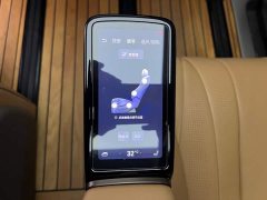 Denza D9 DM-i 965 Premium Edition - ფოტო 16