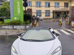 McLaren GT 4.0T Standard - ფოტო 19