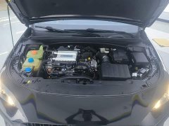 Trumpchi Yingbao 270T DCT J15 - photo 10
