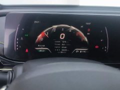 Trumpchi Yingbao 270T DCT J15 - photo 14