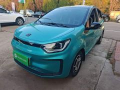 JAC 302km Luxury 31.4kWh - photo 1