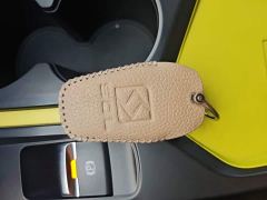 JAC 302km Luxury 31.4kWh - photo 8