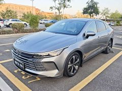 BYD Destroyer 05 DM-i 120KM Luxury - photo 1