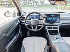 BYD Destroyer 05 DM-i 120KM Luxury - photo 9