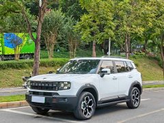 Jetour Jietu Shanhai T1 150km Xianghai - photo 1