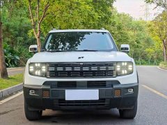 Jetour Jietu Shanhai T1 150km Xianghai - photo 2
