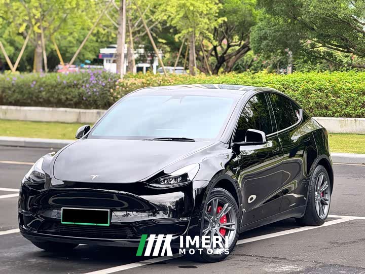 Tesla Model Y Standard Range RWD - ავტომობილი ჩინეთიდან
