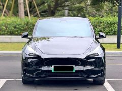 Tesla Model Y Standard Range RWD - ფოტო 2
