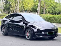 Tesla Model Y Standard Range RWD - ფოტო 3