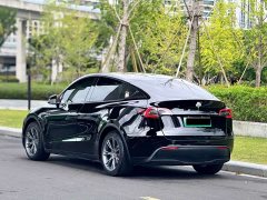 Tesla Model Y Standard Range RWD - ფოტო 9