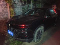 Jetour Jietu Dasheng 1.6T DCT King PRO - фото 1