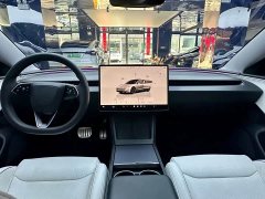 Tesla Model 3 High Performance All-Wheel Drive - ფოტო 8