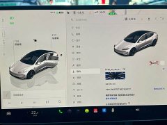 Tesla Model 3 High Performance All-Wheel Drive - ფოტო 9
