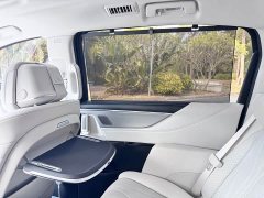 Buick GL8 New Energy Luzun Respect Edition 7-Seater - фото 14