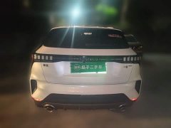 Lynk & Co 06 EM-P PHEV 84KM Range Pro - photo 3
