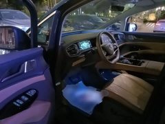 Denza D9 DM-i 970 AWD Flagship - photo 15