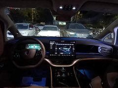 Denza D9 DM-i 970 AWD Flagship - photo 9