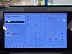Li Auto L6 Pro - ფოტო 18