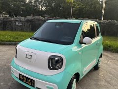 FAW Besturn Xiaoma 170km Yuanqi Ma - photo 3