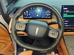 Great Wall WEY Shanshan New Energy Four-Wheel Drive Shanshan 8 - photo 10