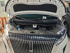 Great Wall WEY Shanshan New Energy Four-Wheel Drive Shanshan 8 - photo 19
