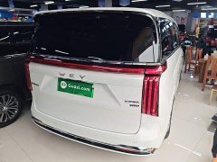 Great Wall WEY Shanshan New Energy Four-Wheel Drive Shanshan 8 - photo 6