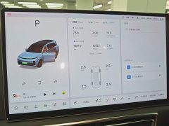 Li Auto L9 Max - ფოტო 11