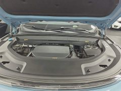 Li Auto L9 Max - ფოტო 19