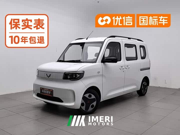 Wuling Zhiguang New Energy 201km Comfort