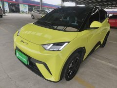 BYD Seagull Freedom Edition - ფოტო 1