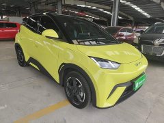BYD Seagull Freedom Edition - ფოტო 3