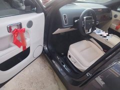 Li Auto L6 Pro - ფოტო 13