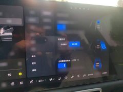 Li Auto L6 Pro - ფოტო 18