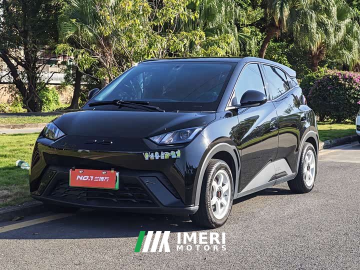 BYD Seagull Vitality Edition - ავტომობილი ჩინეთიდან