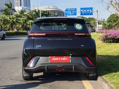 BYD Seagull Vitality Edition - ფოტო 4