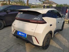 BYD Seagull Vitality Edition - ფოტო 3