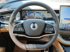 Denza D9 DM-i 980 AWD Luxury - ფოტო 14